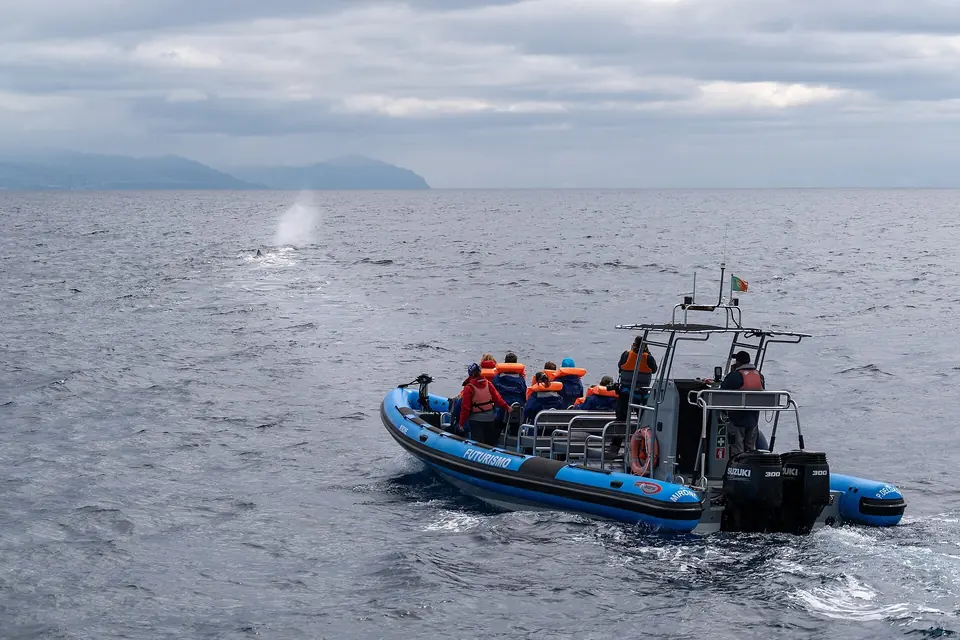 Schlauchboot mit Passagieren in Rettungswesten folgt einem Pottwal